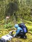 wilderness_noise_71272.jpg