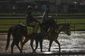 kentucky_derby_horse_racing_94613.jpg