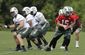 jets_football_53533.jpg