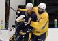 stanley_cup_predators_hockey_98820.jpg