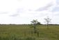 miami_megamall_70758.jpg