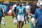 dolphins_camp_football_43269.jpg