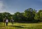 exchange_horses_help_veterans_70971.jpg