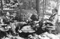 trump_camp_david_61890.jpg