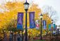 student_lures_88212.jpg