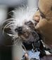 world's_ugliest_dog_83897.jpg