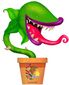 6_242017_b1-moor-shop-horror8201.jpg