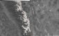 danger_on_the_trail_24866.jpg