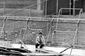 britain_hillsborough_71425.jpg