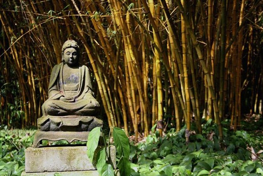 ** FILE ** An image of Buddha sits amid bamboo at the Allerton Garden on Kauai, Hawaii.