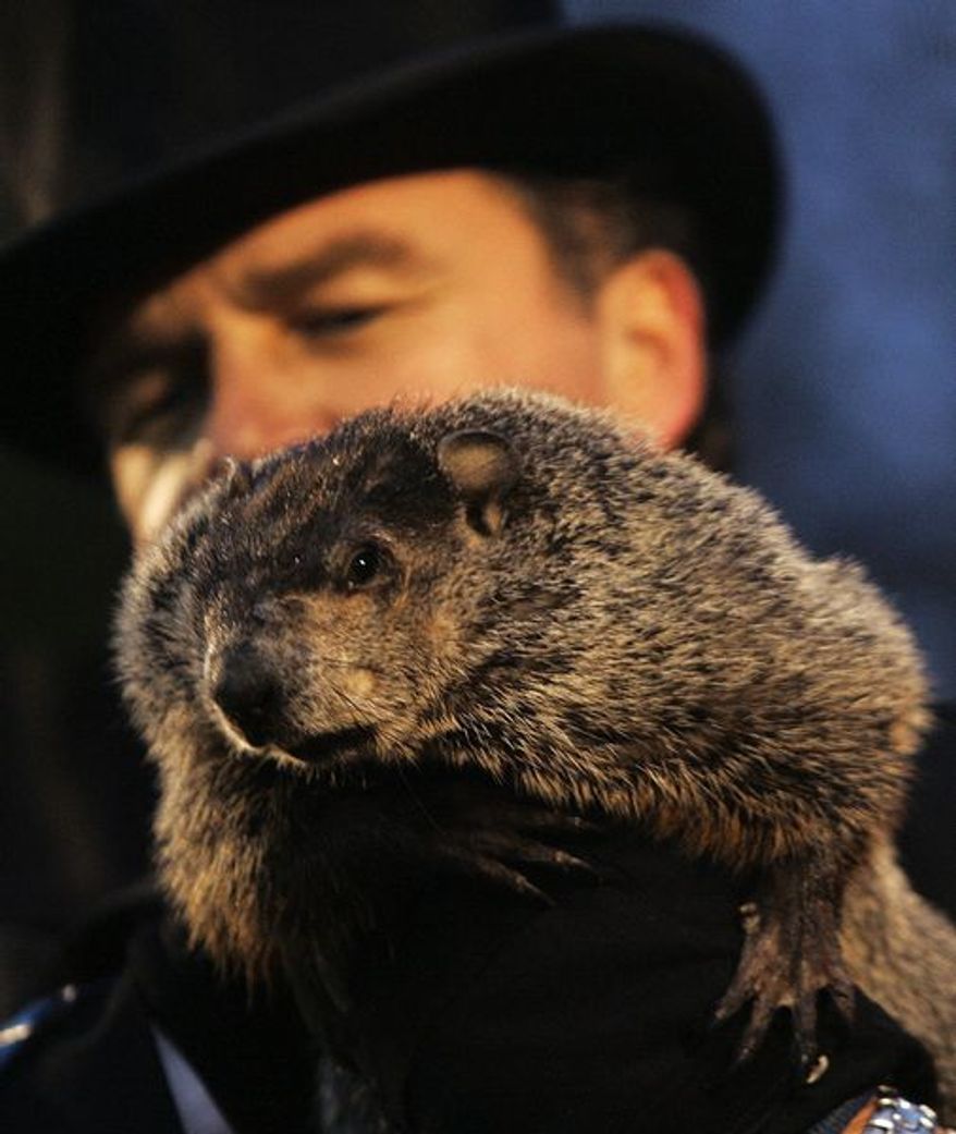 John Griffiths, one of the handlers of weather predicting groundhog Punxsutawney Phil, holds Phil on Ground Hog's Day in Punxsutawney, Pa. on Saturday, Feb. 2, 2008. The Groundhog Club said Phil saw his shadow and predicted six more weeks of winter. (AP Photo/Keith Srakocic)