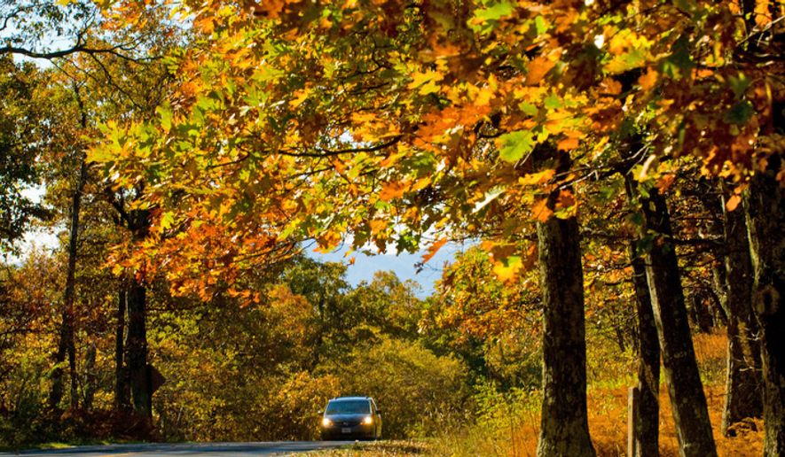 Tourists drive through fall foliage along Skyline Drive in the Shenandoah National Park. (Michael Connor / The Washington Times