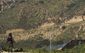 Mexico_US_Border_Viol_Bada.jpg