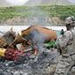 PHOTOGRAPHS BY RICHARD TOMKINS/THE WASHINGTON TIMES
A soldier looks over the wreckage of a supply convoy Taliban insurgents attacked in Afghanistan&#39;s Kunar province. The province is a main infiltration route for Taliban insurgents heading to and from Afghanistan&#39;s central regions.