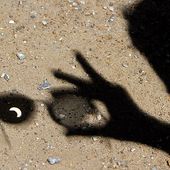 An image of the annular solar eclipse is seen on a shadow falling on the ground formed by a bifocal spectacle in Bangalore, India, Friday, Jan. 15, 2010. (AP Photo/Aijaz Rahi) ** FILE **