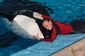 SeaWorld_Death_Lea.jpg