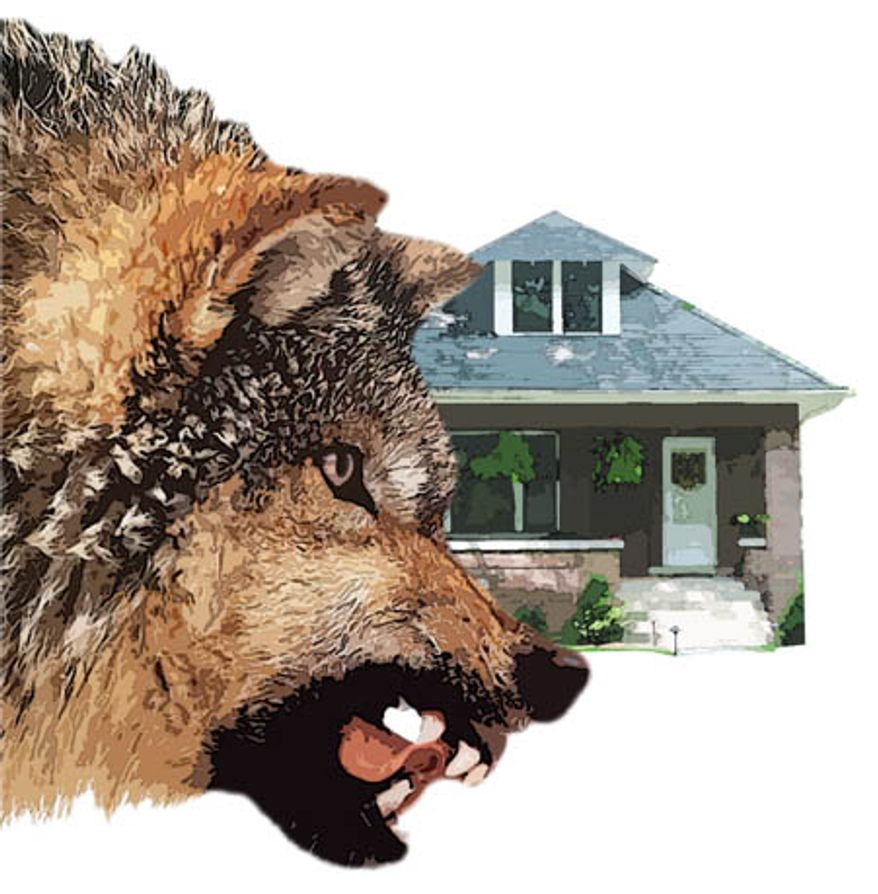 Illustration: Wolf at the door by Greg Groesch for The Washington Times