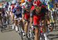 Belgium Cycling Tour _Star.jpg