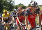 France Cycling Tour D_Star(2).jpg