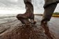 Gulf Oil Spill Now Wh_Lea.jpg