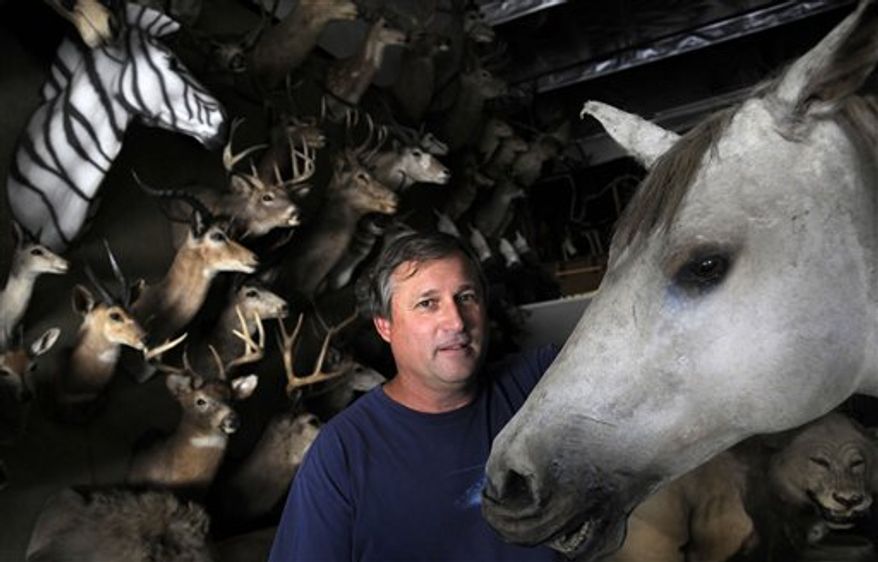 This Wednesday, July 14, 2010 photo shows taxidermist Gary Robbins as he poses for a portrait inside his business, Bischoff's Taxidermy, in Burbank, Calif. Roy Rogers' horse, Trigger, not shown, was stuffed by taxidermist Everett Wilkensen at Bischoff's Taxidermy 45 years ago. Robbins bought Bischoff's Taxidermy and Animal FX in 1995 and helped turn the 88-year-old business into one of the largest movie and television animal prop rental warehouses on the West Coast. (AP Photo/Adam Lau)
