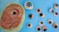 face_3833