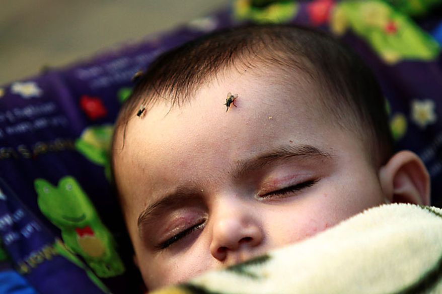 Five month-old Palestinian girl Leyali Awaja sleeps in the makeshift structure that houses her family in Beit Lahiya, northern Gaza Strip, Thursday June 10, 2010. The Awajas are among thousands of families whose houses were destroyed during Israel's three-week military offensive against Hamas-ruled Gaza, launched in December 2008 with the aim of halting Hamas rocket attacks. An Israeli forces bulldozer flattened the Awajas' house and as the family tried to flee, bullets hit father Kamal, his wife Wafa, and their 8-year-old son Ibrahim, who bled to death in the street. (AP Photo/Lefteris Pitarakis)