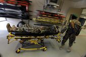 med_4624