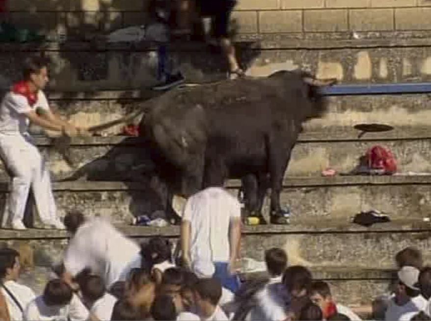 In this TV image provided by ETB via APTN a man holds the bull by the tail after it jumped 10 yards from the ring into the stands at the Tafalla bullring in Spain Thursday Aug. 19, 2010 causing panic as it lurched through the screaming crowd, charging and tossing everything he could. Regional officials say 40 people were injured when the bull leapt into the packed grandstands. (AP Photo/ETB via APTN)