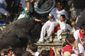 Spain Leaping Bull_Thir.jpg