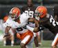 Browns_Haden_Football.sff.jpg