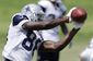 Cowboys_Football.sff.jpg