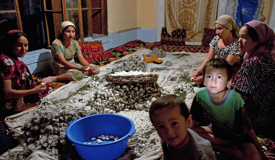 Family members, including the youngest, clean silkworm cocoons in Kokand, Uzbekistan, in June 2009. The silkworm business is a state monopoly, and farmers facing fines or the loss of land leases if they miss quotas need the whole family to work. (Associated Press)