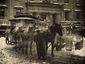Stieglitz_Photographs_Exhibition.sff.jpg