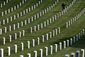 Arlington Cemetery_Star.jpg