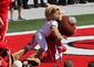 Mascots_Tussle.sff.jpg