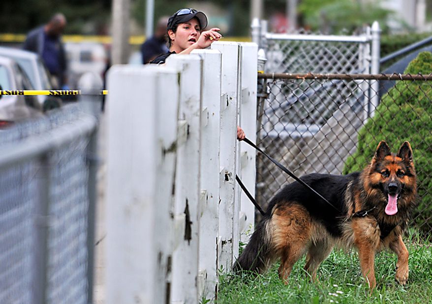 A police officer and dog search for evidence near the scene of a shooting in Boston, Tuesday, Sept. 28, 2010, following an early morning shooting in which five people including a toddler were shot in the Mattapan neighborhood of Boston. (AP Photo/Josh Reynolds)