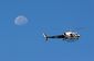 texas_6652