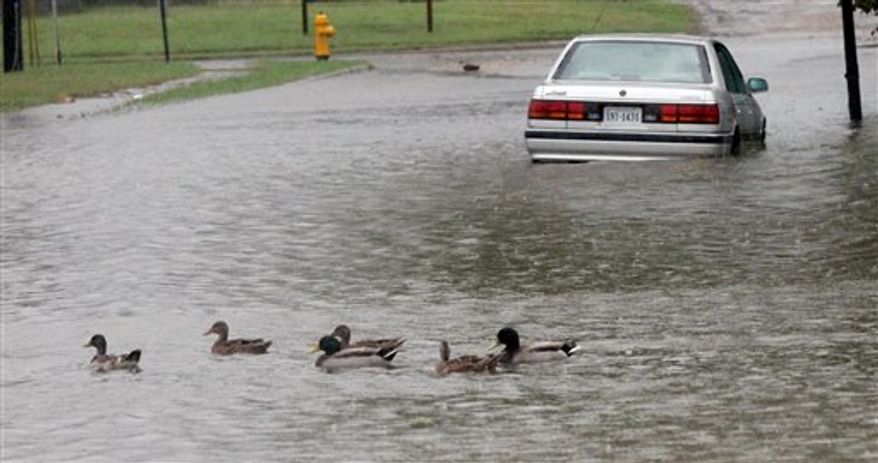 Ducks swim by a partially submerged car along on Booth Street in Norfolk, Va., on Thursday, Sept. 30, 2010. Quickly rising water took many motorists by surprise and scores of vehicles were stuck across the Norfolk area. (AP Photo/The Virginian-Pilot, Ross Taylor)