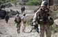 afghan_7268