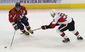 Senators Capitals Hoc_Star(3).jpg