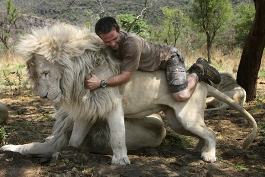 In this photo taken Monday Oct. 11, 2010, Kevin Richardson, a.k.a. the Lion Whisperer piggybacks on the back of a lion in their enclosure at the Kingdom of the White Lion park in Broederstroom, near Johannesburg South Africa. A new film opening in the United States on Friday about a rare white lion who escapes becoming a trophy on a wall is a rare happy ending in a country where more than 1,000 lions are killed legally each year.Kevin Richardson, the man behind the movie, calls himself an "ambassador of lions" and hopes the film will act as one too at a time when foreign tourists are willing to pay up to $40,000 to shoot a big cat.(AP Photo/Denis Farrell)