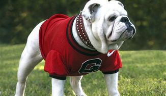 The University of Georgia mascot Uga VIII is shown in Athens, Georgia in a photo released Oct. 13, 2010. (AP Photo/University of Georgia, Danny White) ** FILE **