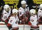 Hurricanes_Coyotes_Hockey.sff.jpg
