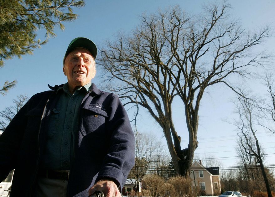 Frank Knight, 102, of Yarmouth, Maine, took care of a 217-year-old elm tree, called Herbie (background), for about 50 years. The diseased tree, cut down in January, has been made into works of art including a guitar. (Associated Press)