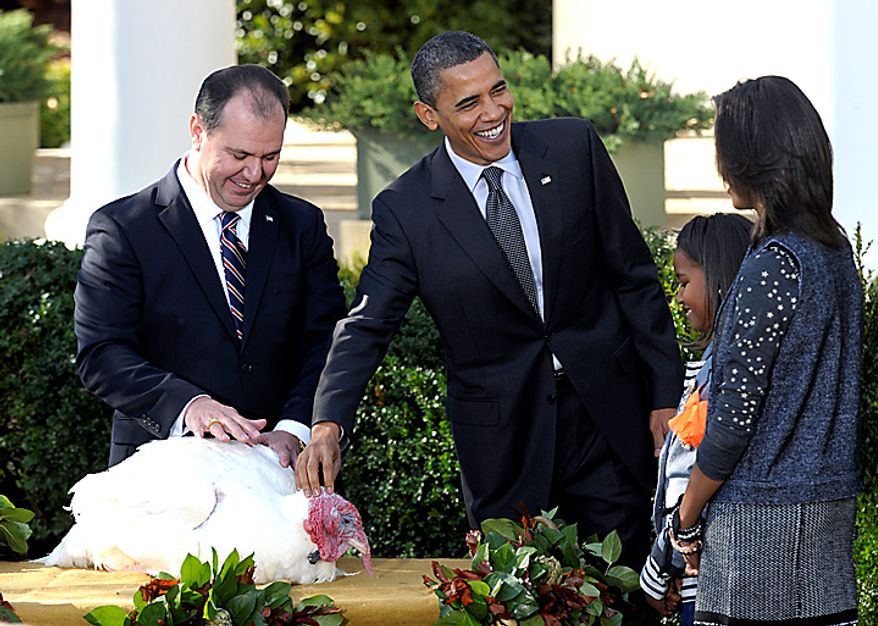 President Barack Obama pets "Apple," the National Thanksgiving turkey during a ceremony in the Rose Garden of the White House in Washington, Wednesday, Nov. 24, 2010. National Turkey Federation Chairman Yubert Envia, left, and first daughters, Sasha, second from right, and Malia, right, watch. (AP Photo/Susan Walsh)