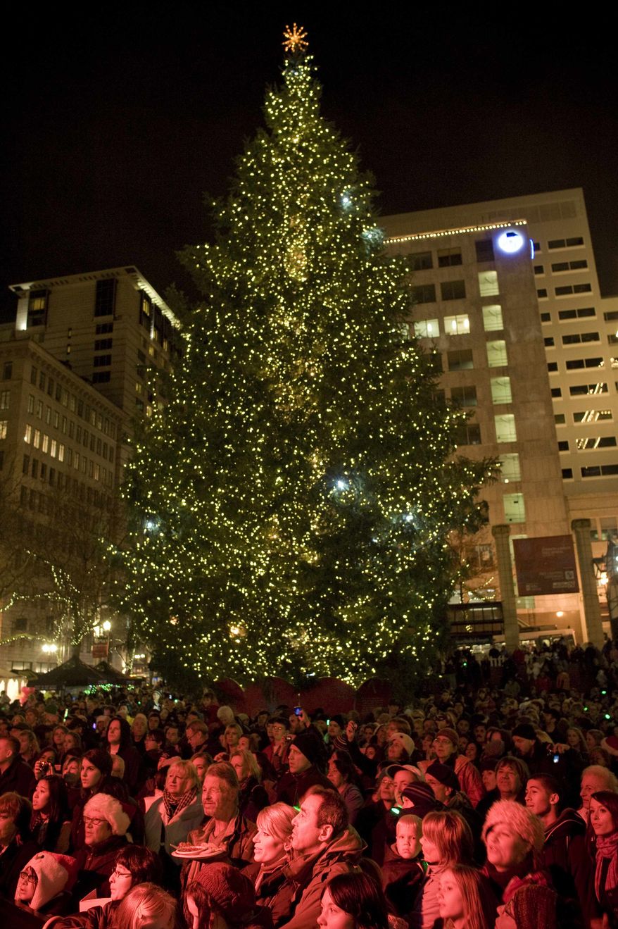 The tree is lit on Pioneer Courthouse square Friday night, Nov. 26, 2010, to the music of Pink Martini in front of a shoulder-to-shoulder crowd singing holiday music in the square. A Somali-born teenager, Mohamed Osman Mohamud, 19, was arrested at 5:40 p.m. just after he dialed a cell phone that he thought would blow up a van laden with explosives but instead brought federal agents and Portland police swooping in to take him into custody, federal prosecutors said. (AP Photo/Torsten Kjellstrand -- The Oregonian)