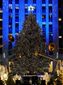 tree_1485