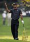 TIGER.jpg