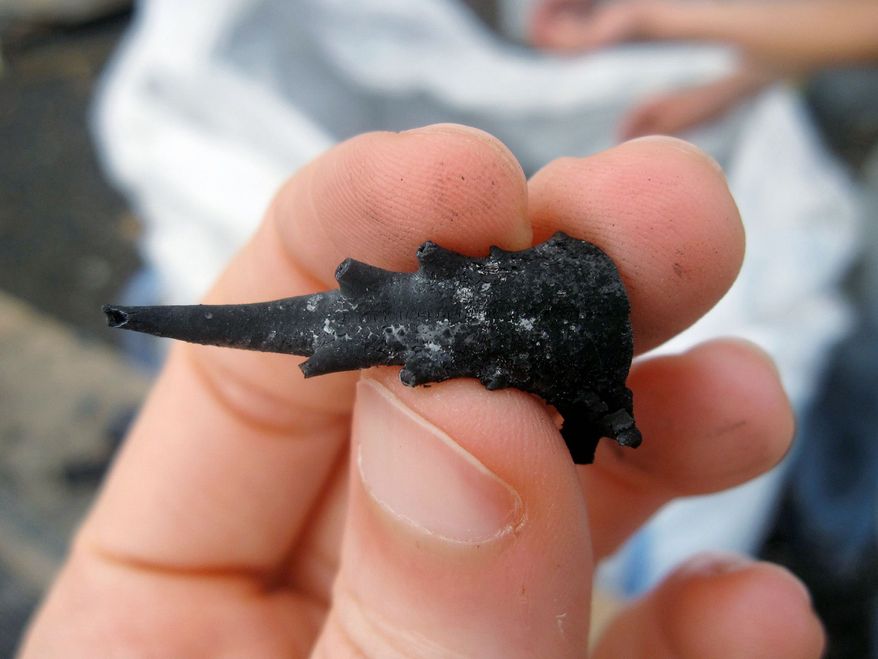 Mr. Barber holds charcoal made from a lobster's body. He co-owns two farms for experimenting with the science behind food. (Stone Barns via Associated Press)